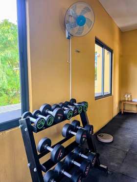 The dumbbell rack under the window
