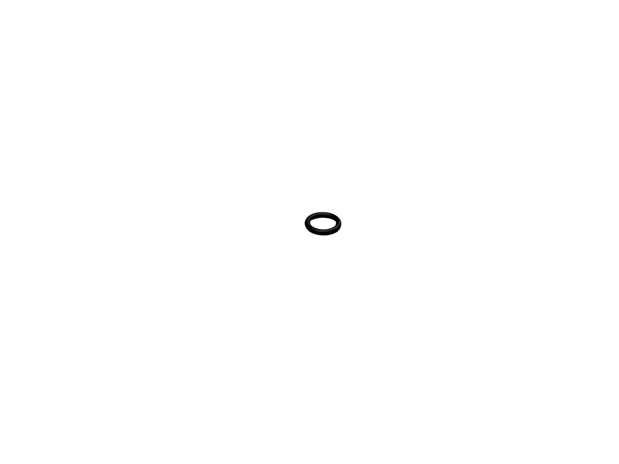 O-ring Photo 2 Thumbnail
