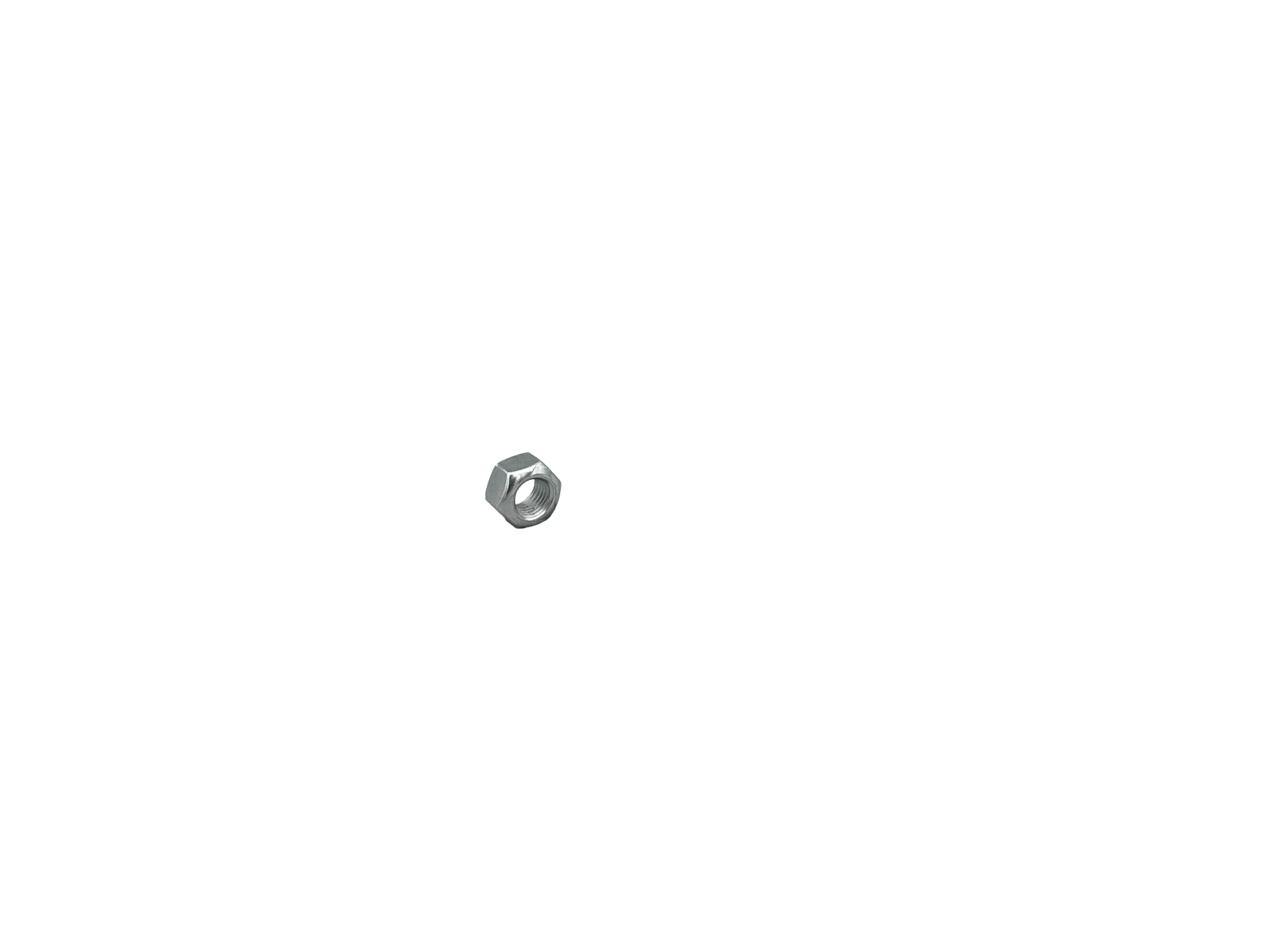 Nut Photo 2 Thumbnail