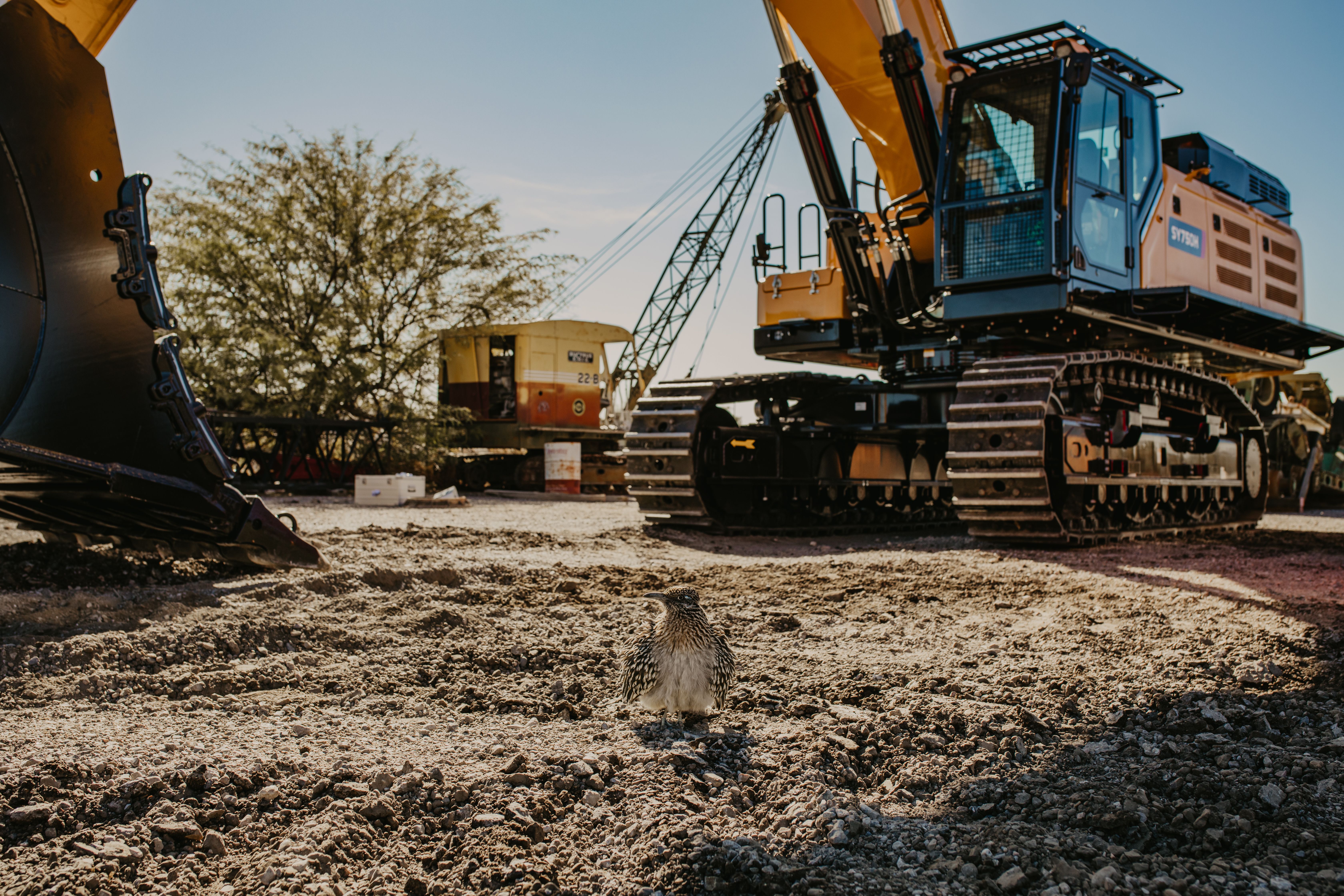 Newman Tractor Image