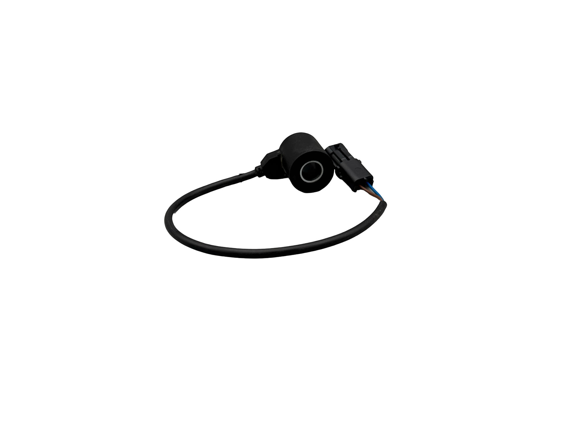 COIL Photo 2 Thumbnail
