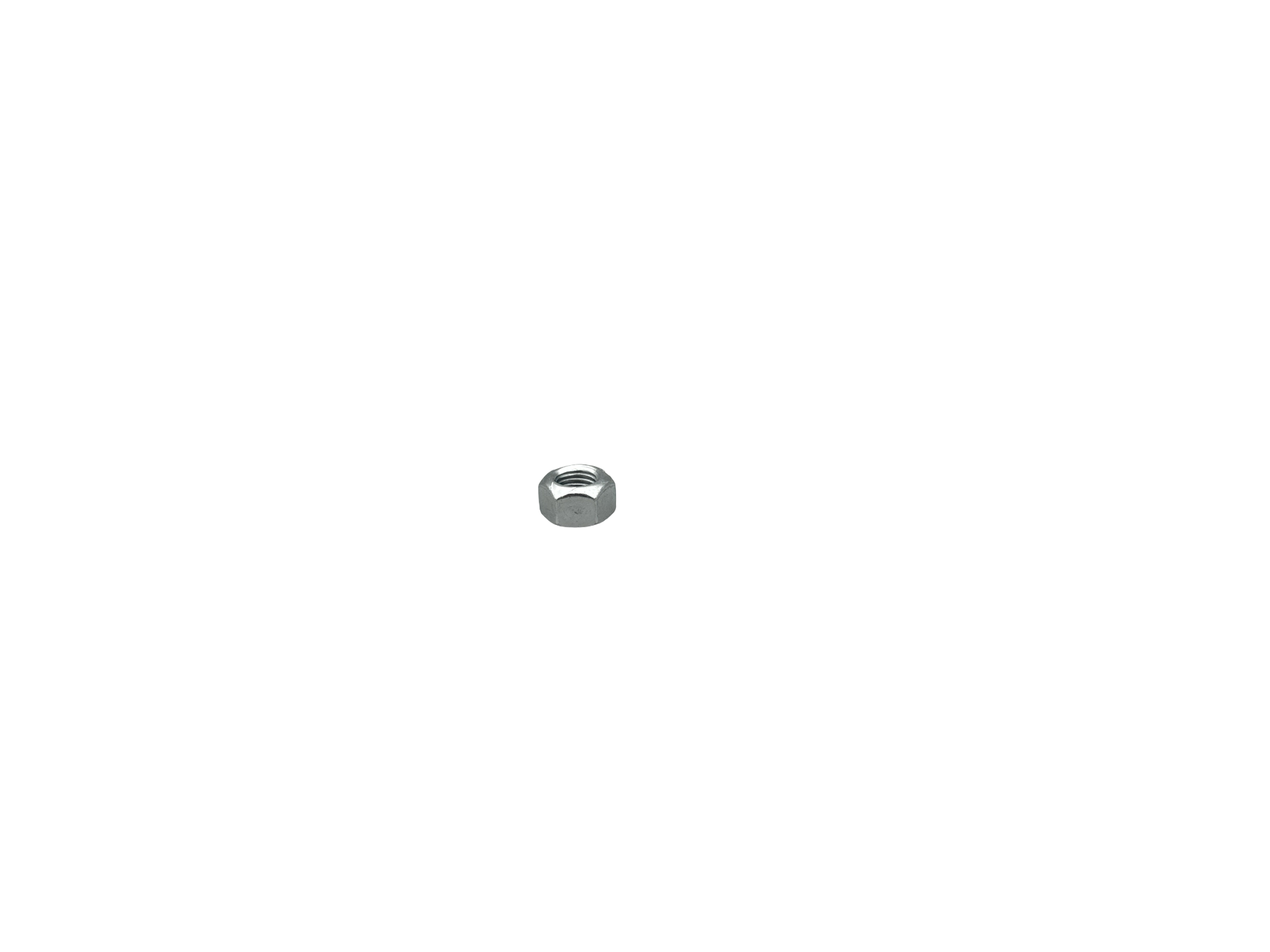 Nut Photo 3 Thumbnail