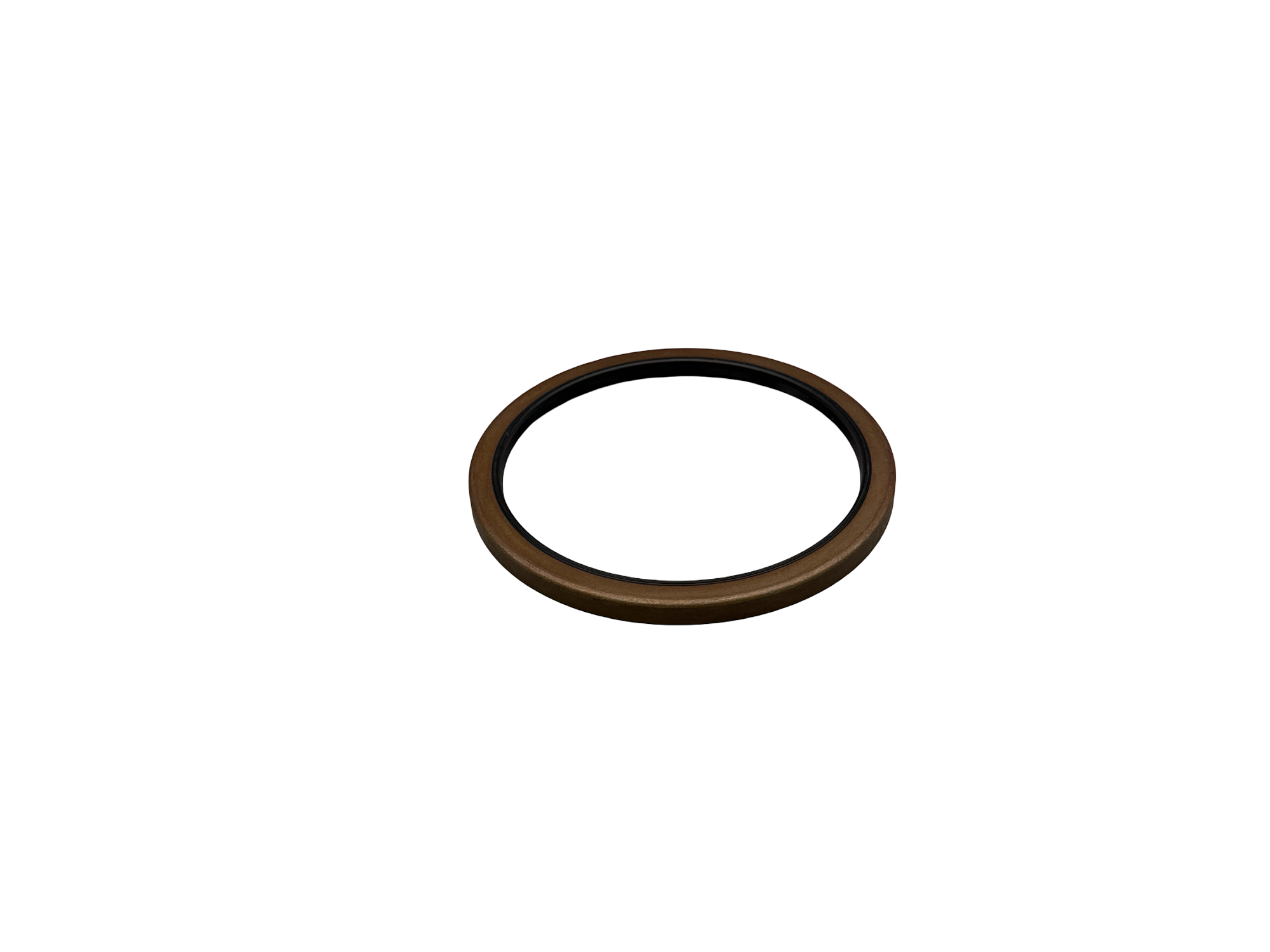 DUST SEAL Photo 3 Thumbnail