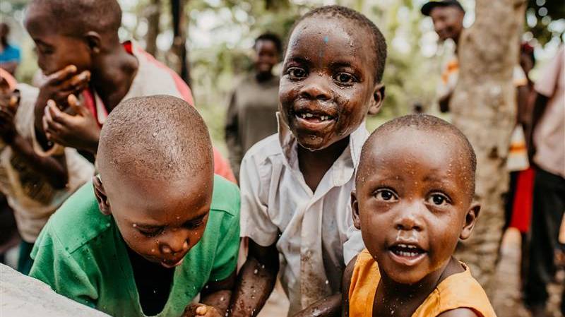 Newman Tractor Image