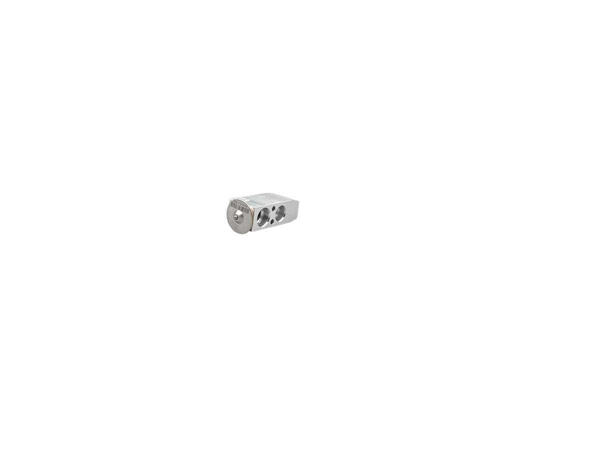 Expansion Valve