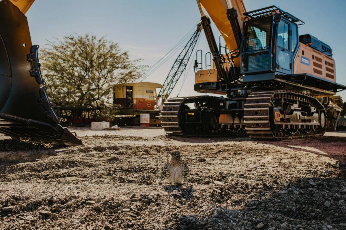 Newman Tractor Image