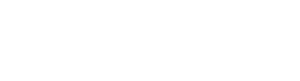 Sany Logo