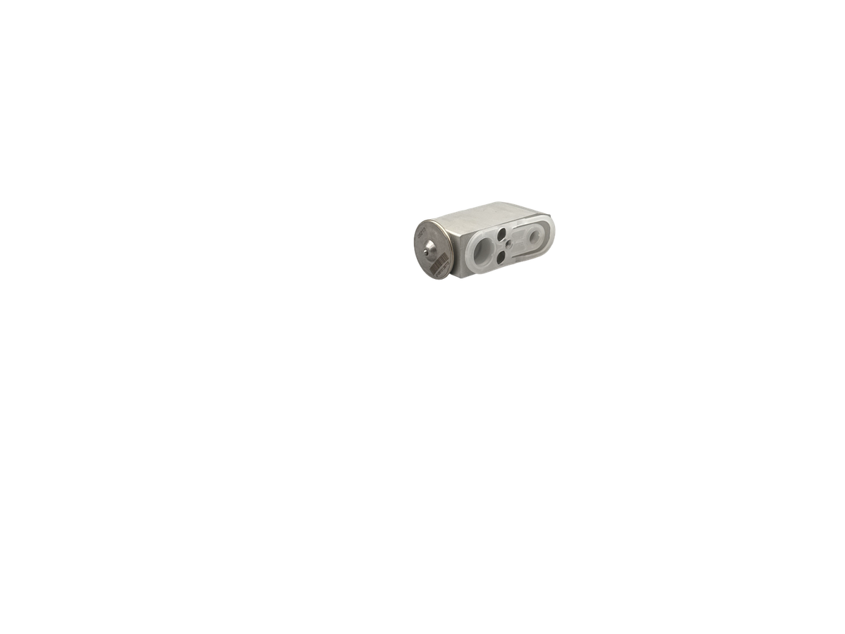 Expansion Valve