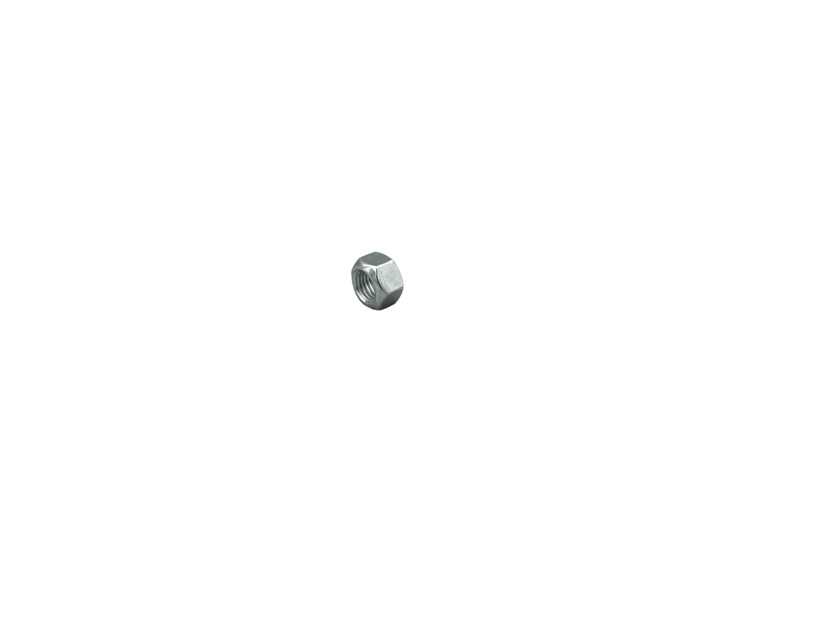 Nut