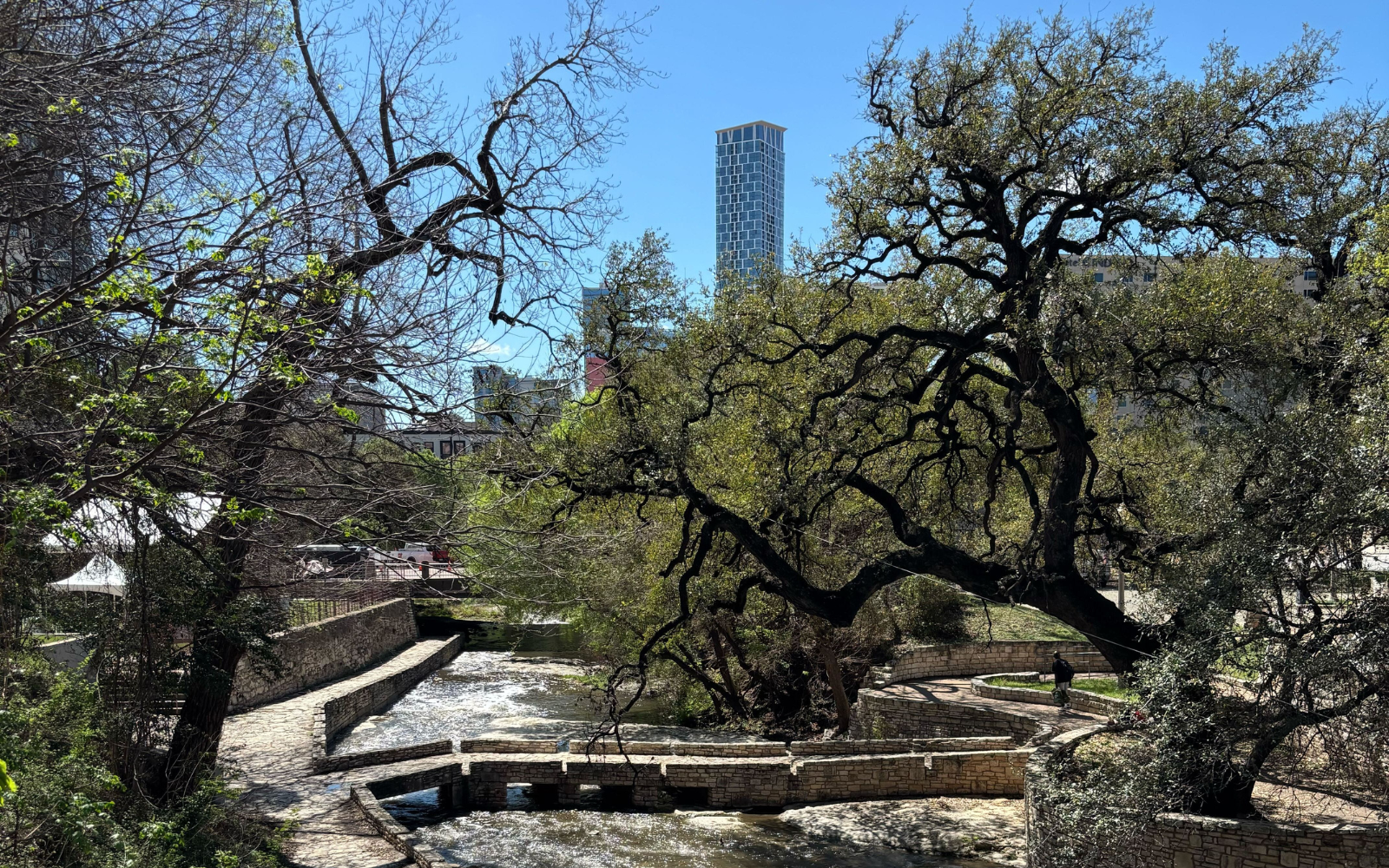 16 days in Texas: What 60+ conversations with consultancy leaders revealed about AI, human expertise, and the future of services