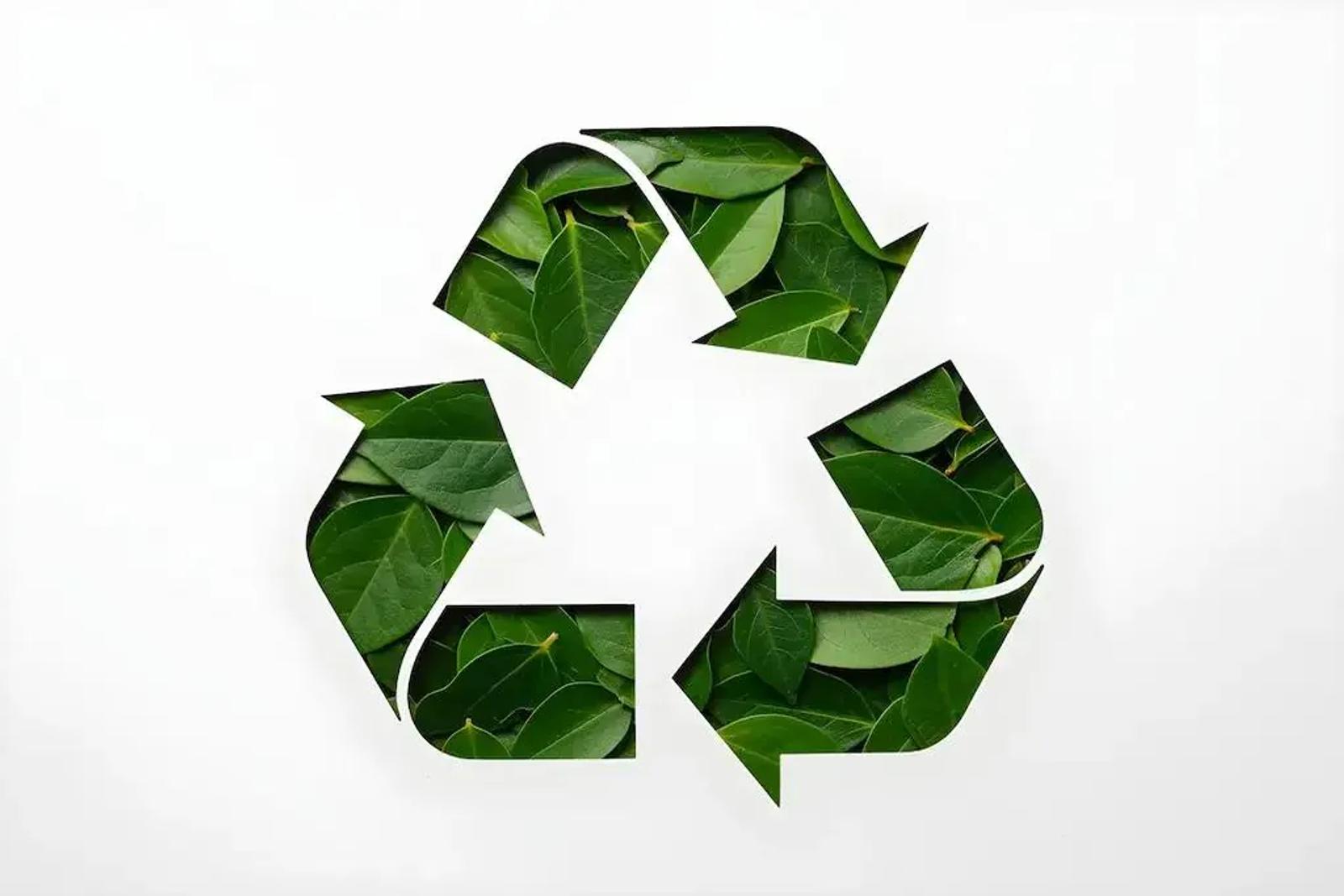 12 Best Eco-Friendly Pest Control Methods That Work
