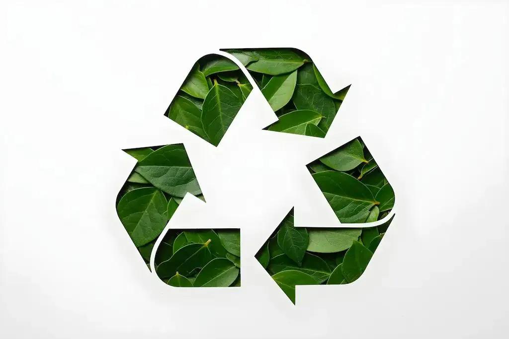 12 Best Eco-Friendly Pest Control Methods That Work