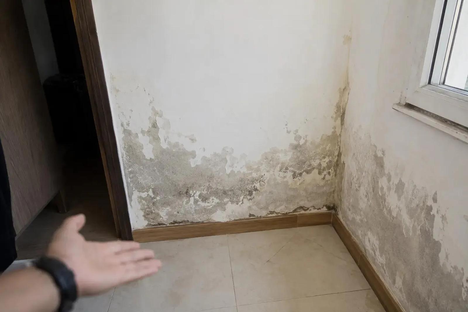 Water Damage Cleanup: Step-by-Step Recovery Guide