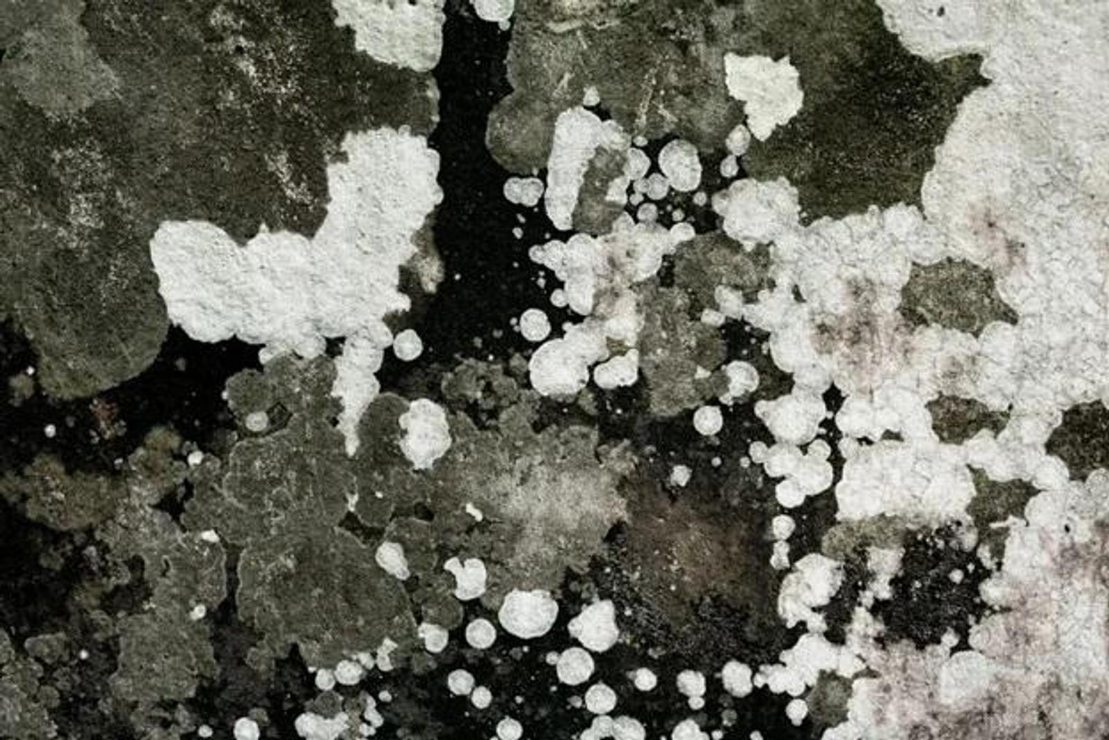 Why Bathrooms Need a Winter Deep Clean: Mould & Scaling Fix