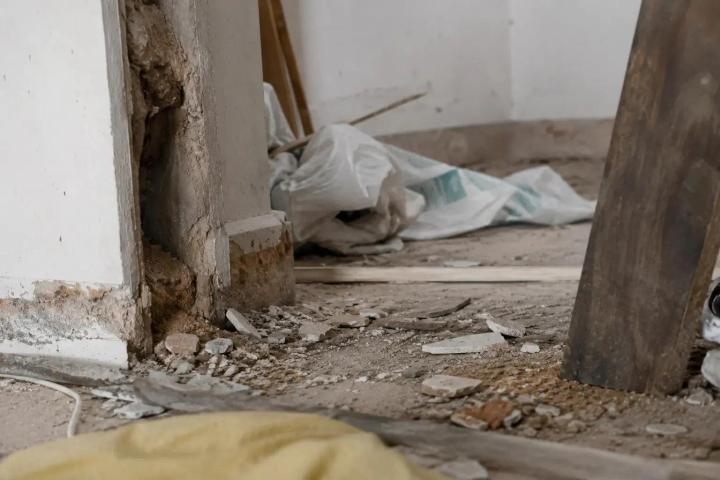 Construction Pests: Why Renovations Attract Pests