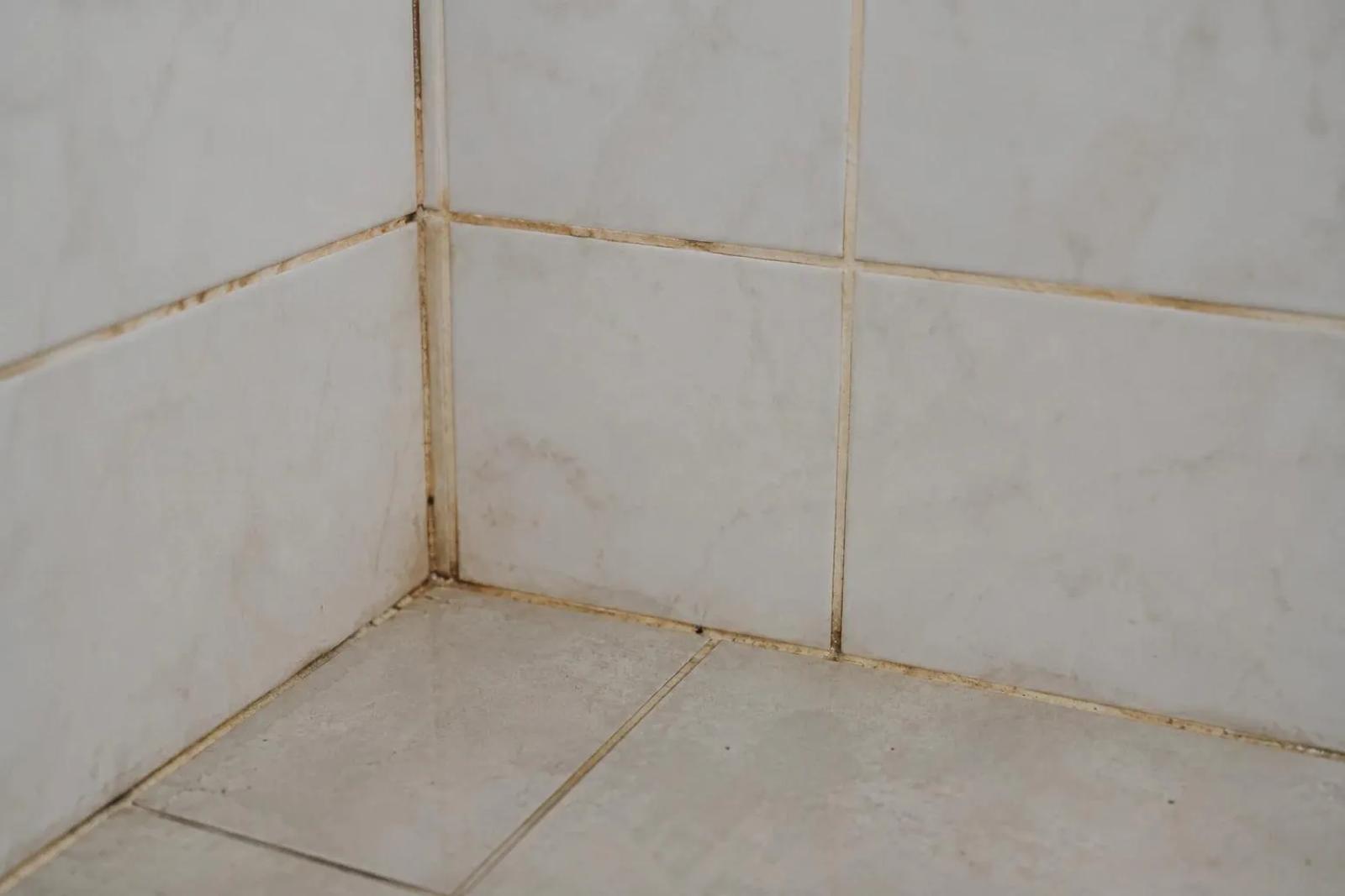 What Causes Grout Discoloration?