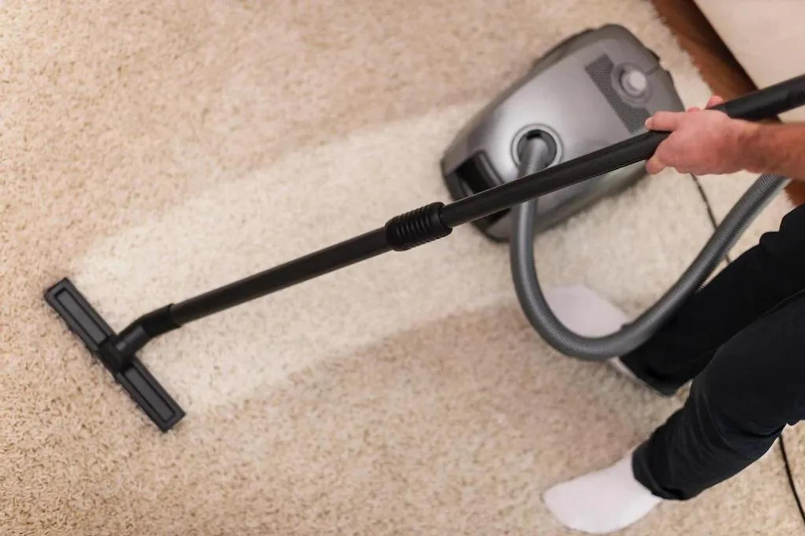 DIY and Professional Carpet Cleaning Tips for a Fresh Home