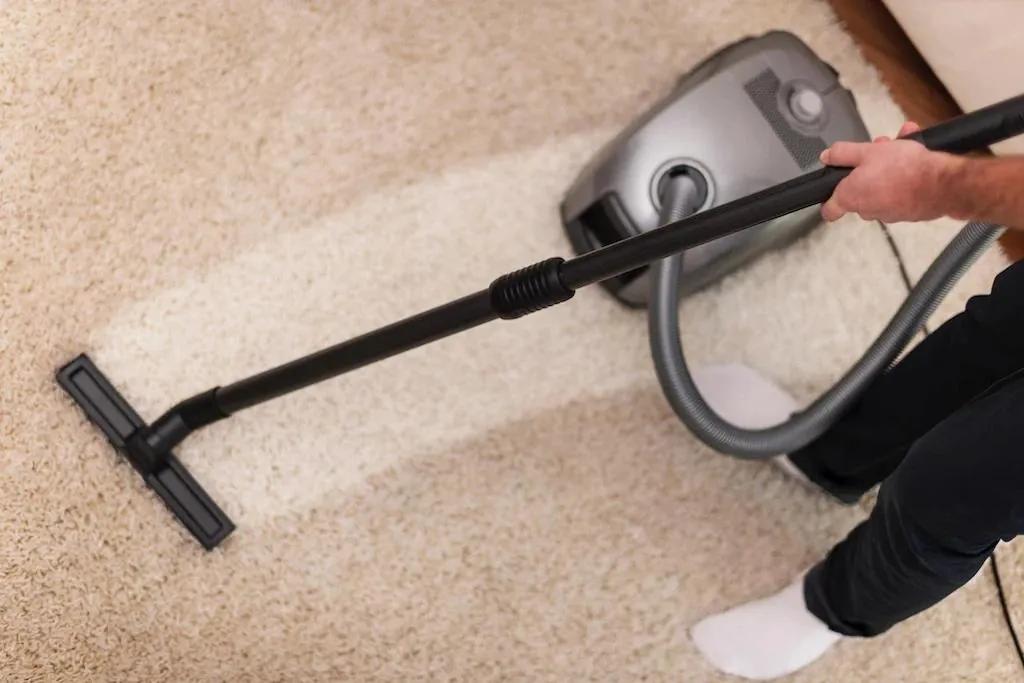 DIY and Professional Carpet Cleaning Tips for a Fresh Home
