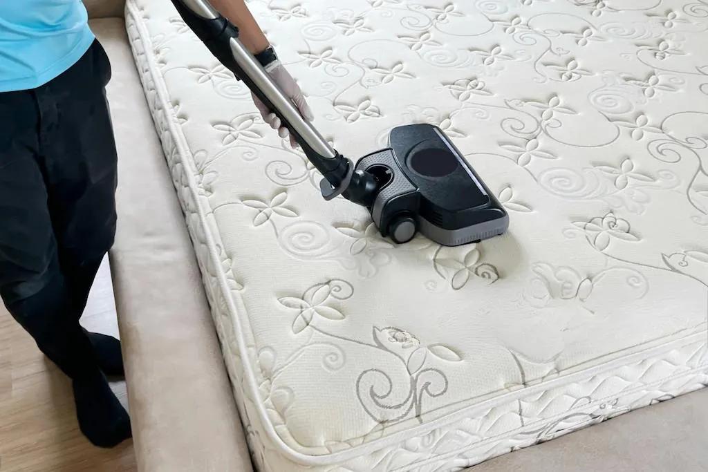 Why Mattress Cleaning Services is Worth the Investment