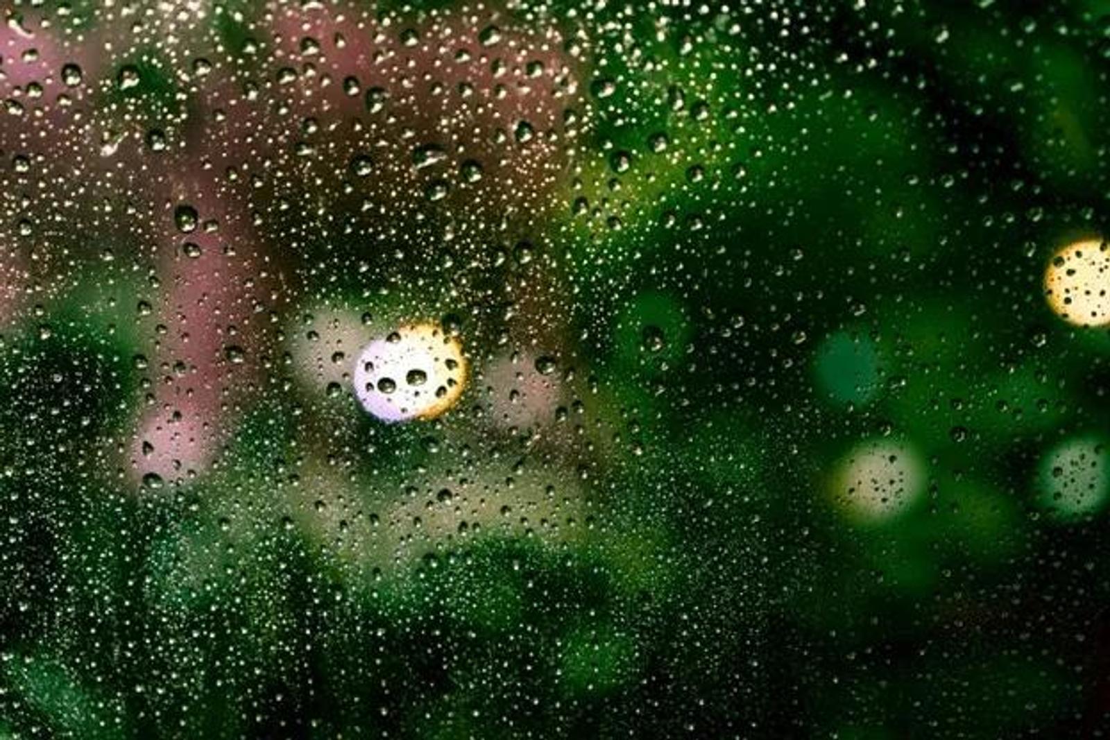 Monsoon Safe Painting: Drying Time, Peeling & Humidity Tips