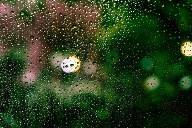 Monsoon Safe Painting: Drying Time, Peeling & Humidity Tips