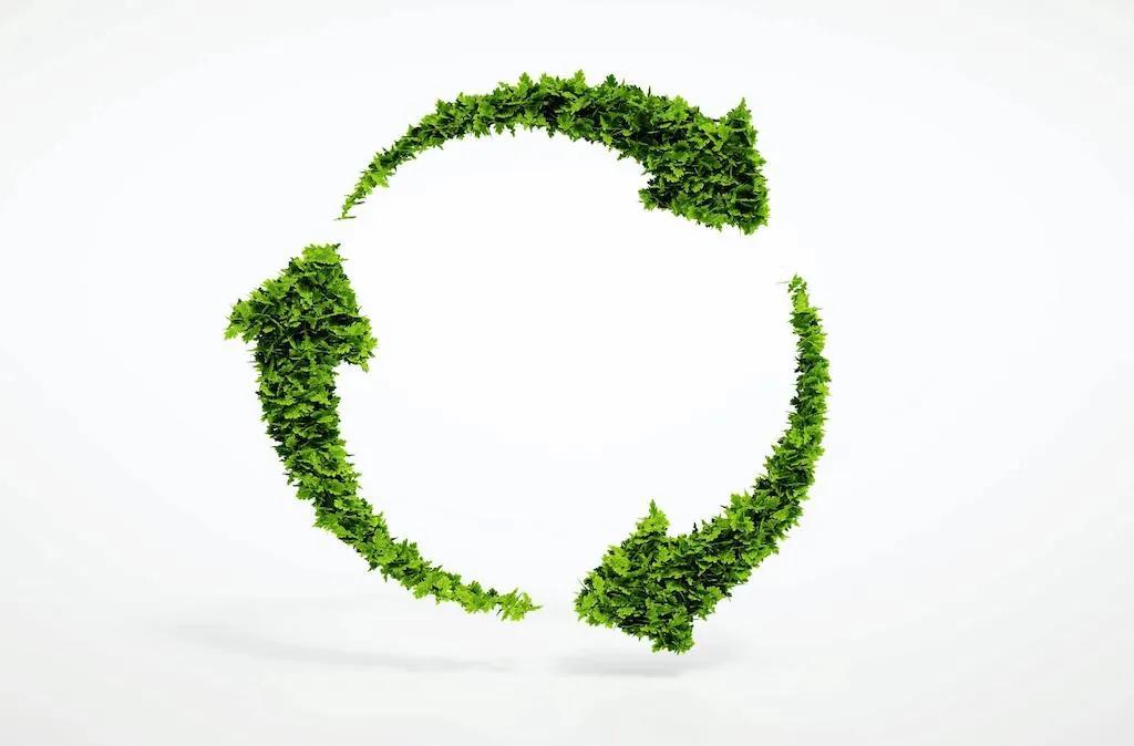 Eco-Friendly Waterproofing Options for Indian Homes (2026)