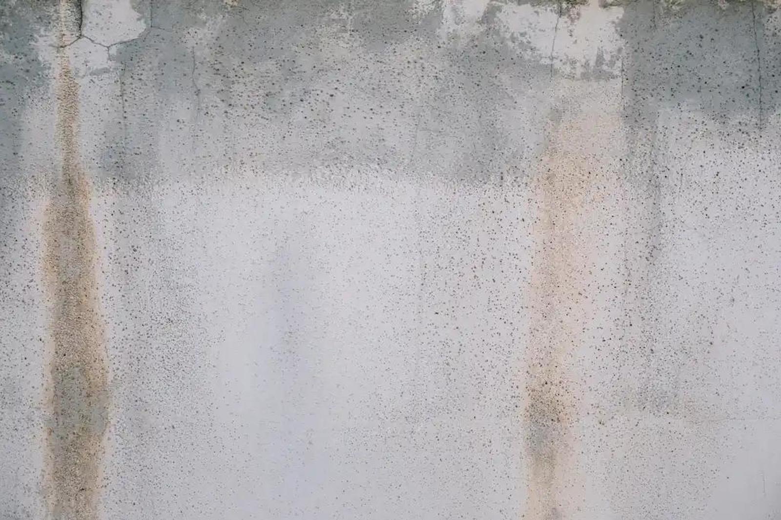 How to Stop Wall Dampness: Permanent Solutions Guide