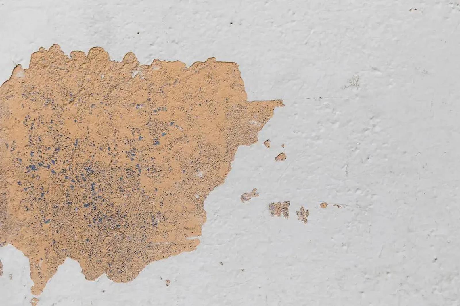 Early Signs of Water Seepage in Bangalore Rains