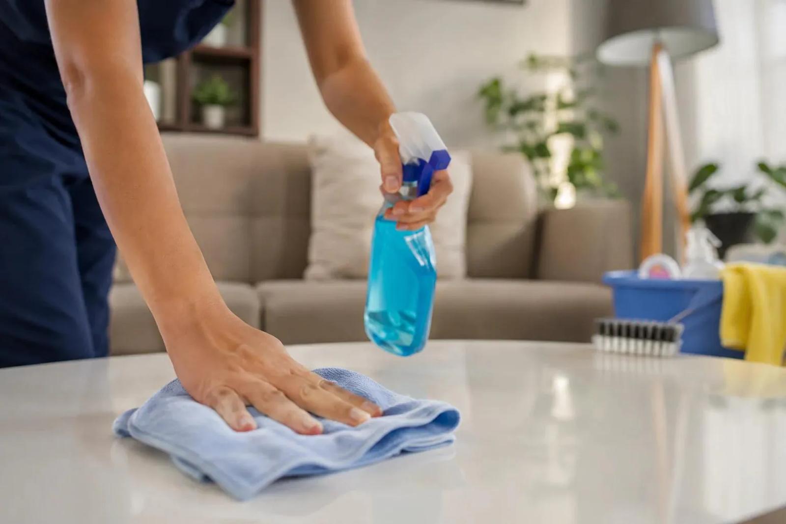 Professional House Cleaning Checklist & Cleaning Order