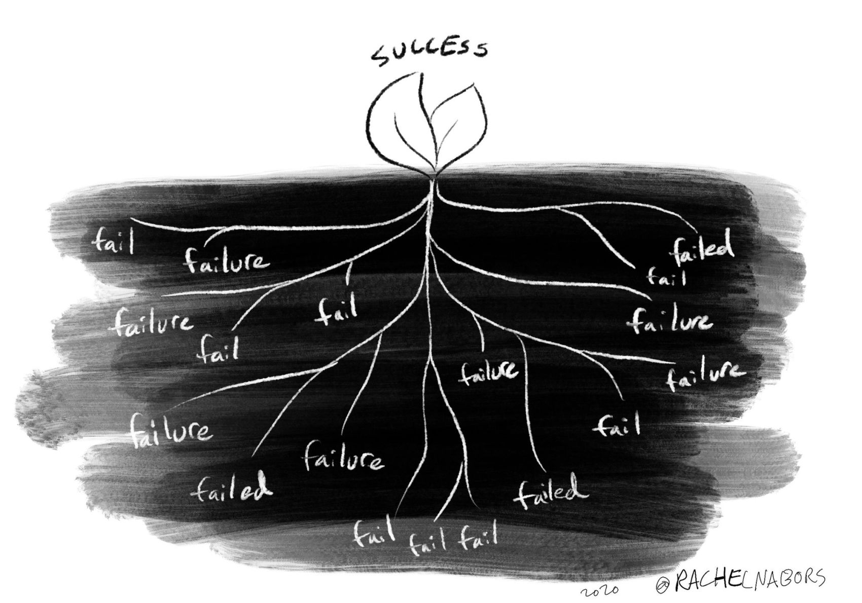 Drawing of a plant with its roots, illustrating that a flower of success has tons of roots of failure