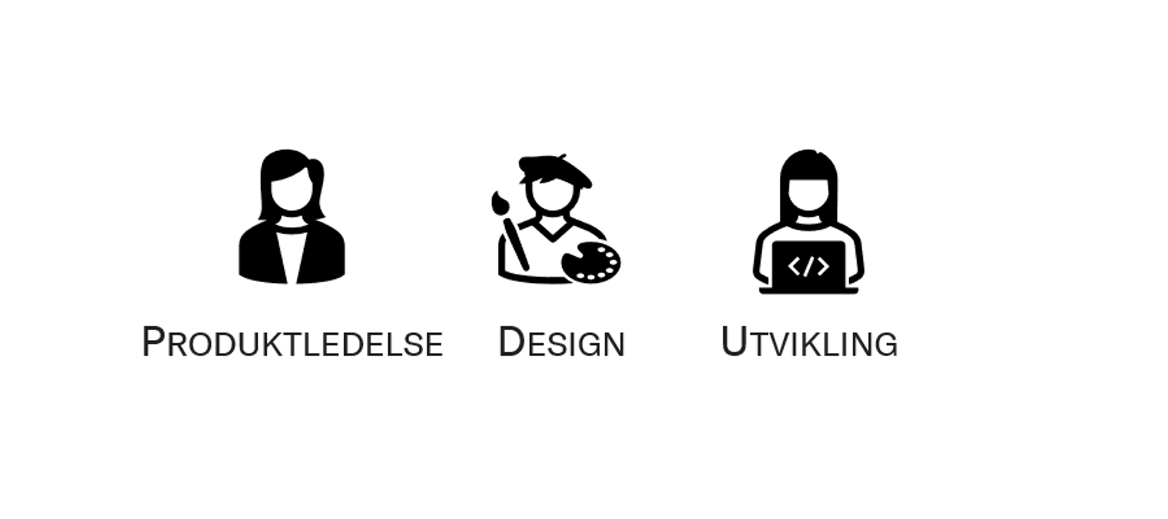 fagfeltene produktledelse design utvikling