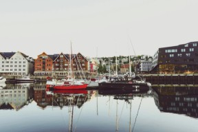 Bilde av green and på Unsplash