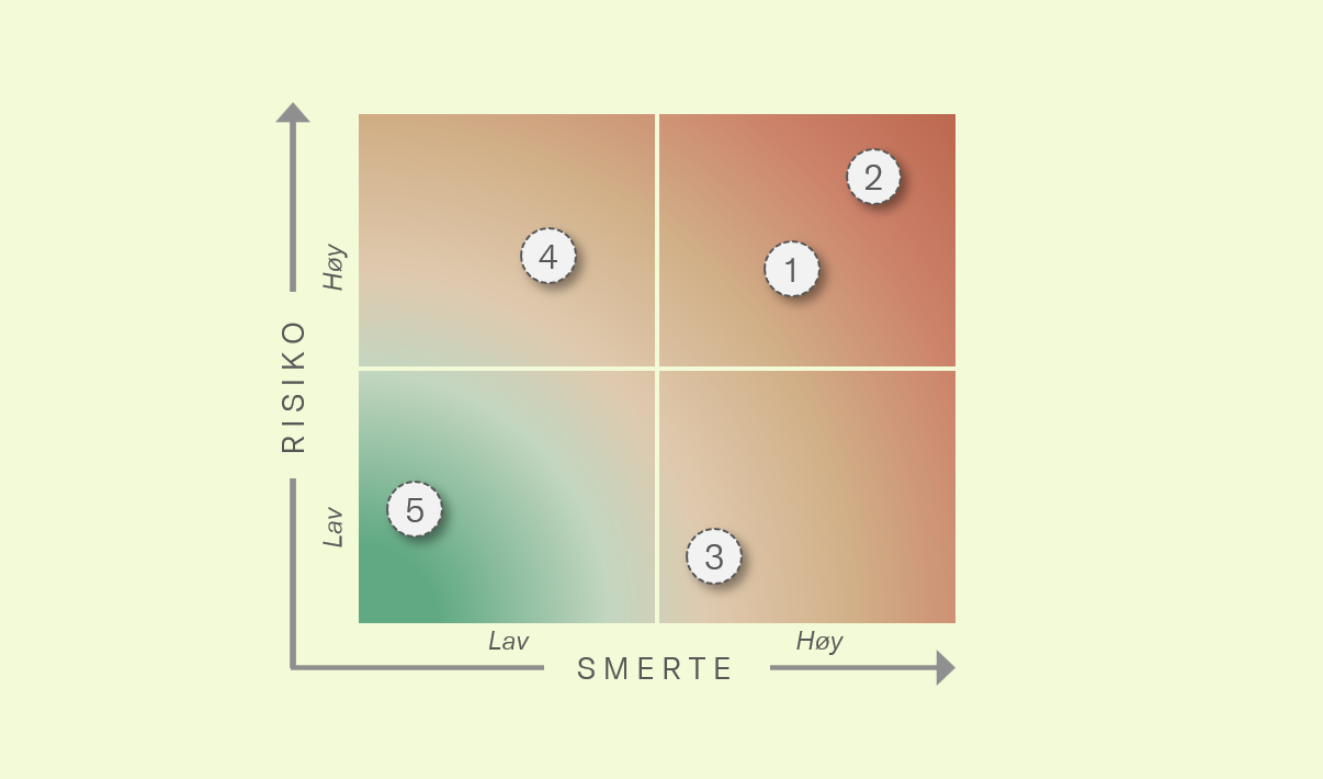 Smerte-risiko rammeverket