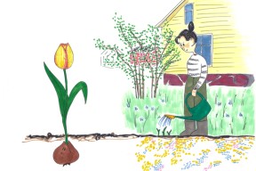 En tegning av en dame som vanner spirer i en blomsterhage