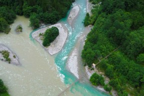 To elver som samles til én