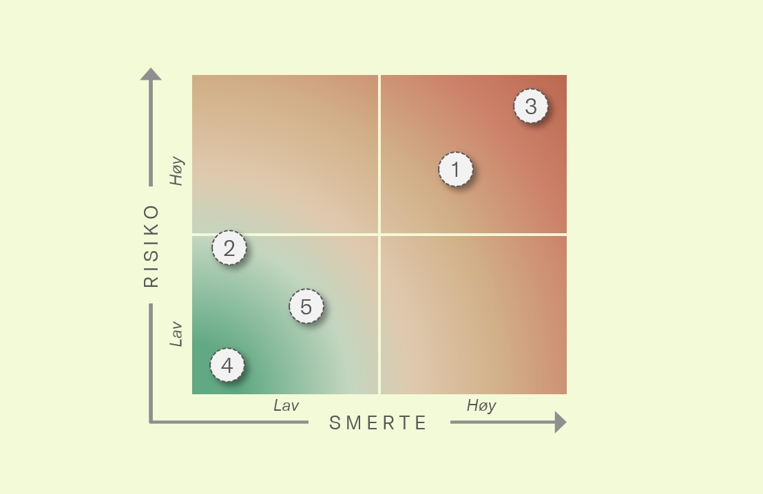Eksempeloppgavene i smerte-risiko rammeverket