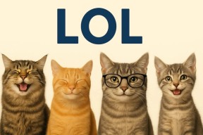 LOL - lunsj om ledelse