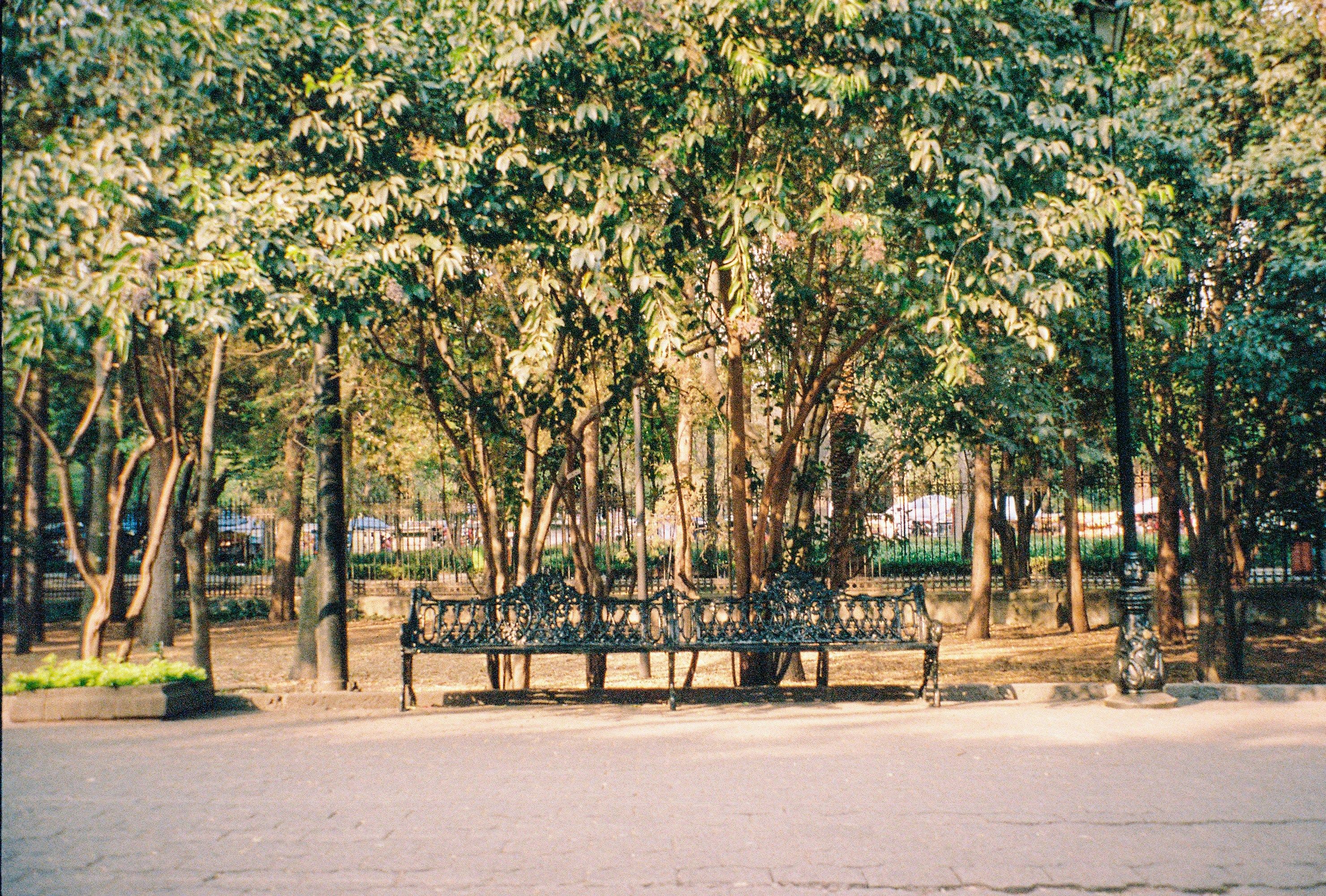 Bilde av Karla Arróniz