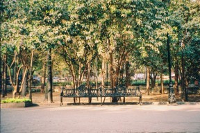 Bilde av Karla Arróniz