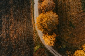 Luftfoto av en grusvei omgitt av åkre og trær i oransje og gule høstfarger.