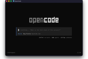Skjermdump av OpenCode i en Docker-container
