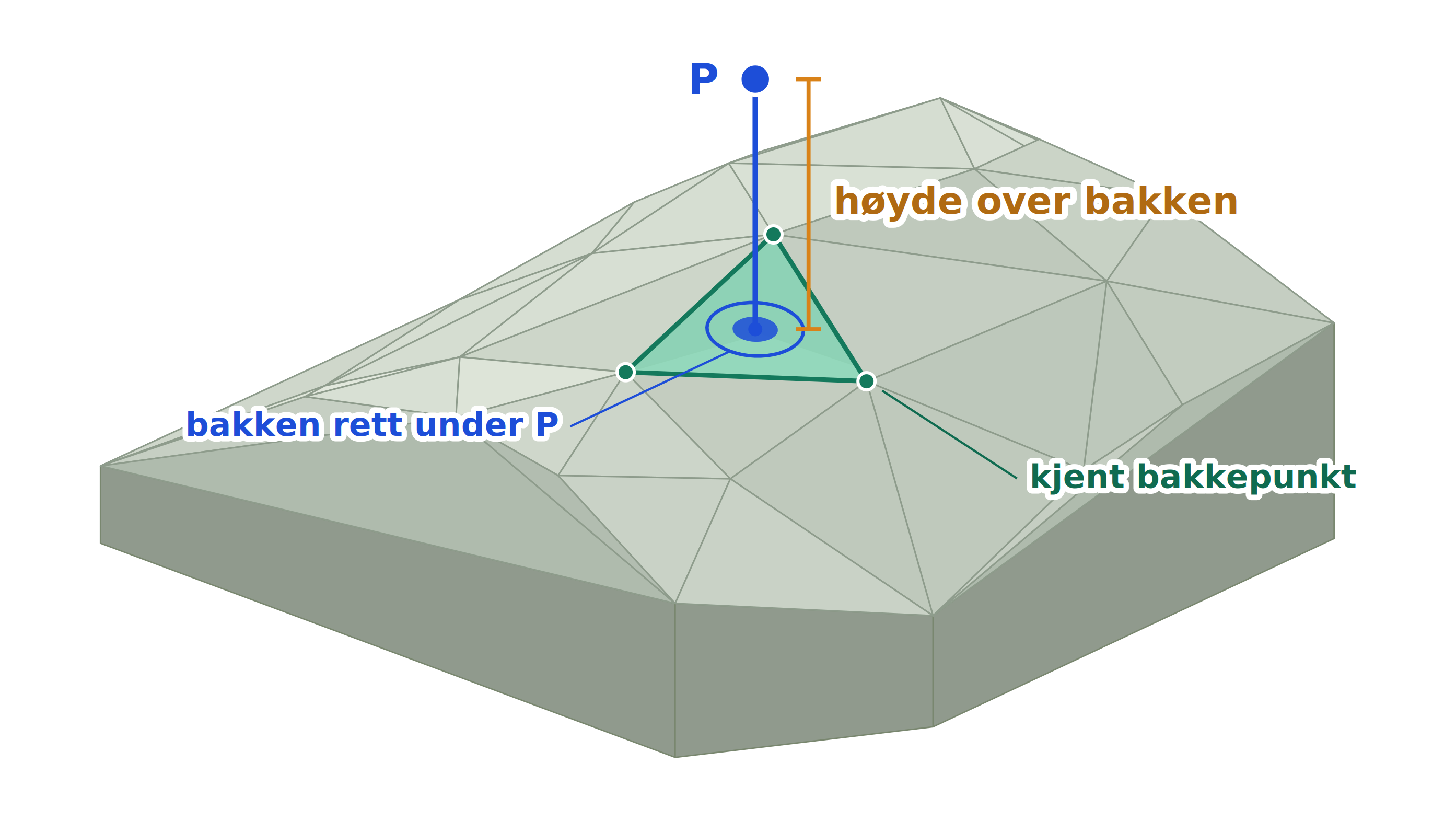 Tredimensjonal illustrasjon av et kupert terreng bygget opp av trekanter mellom kjente bakkepunkter. Et punkt over bakken er markert med en loddrett linje ned til flaten den ligger over, der linjen treffer inne i én av trekantene. Avstanden langs denne linjen er merket «høyde over bakken», treffpunktet er merket «bakken rett under P», og hjørnene i trekantnettet er merket «kjent bakkepunkt».