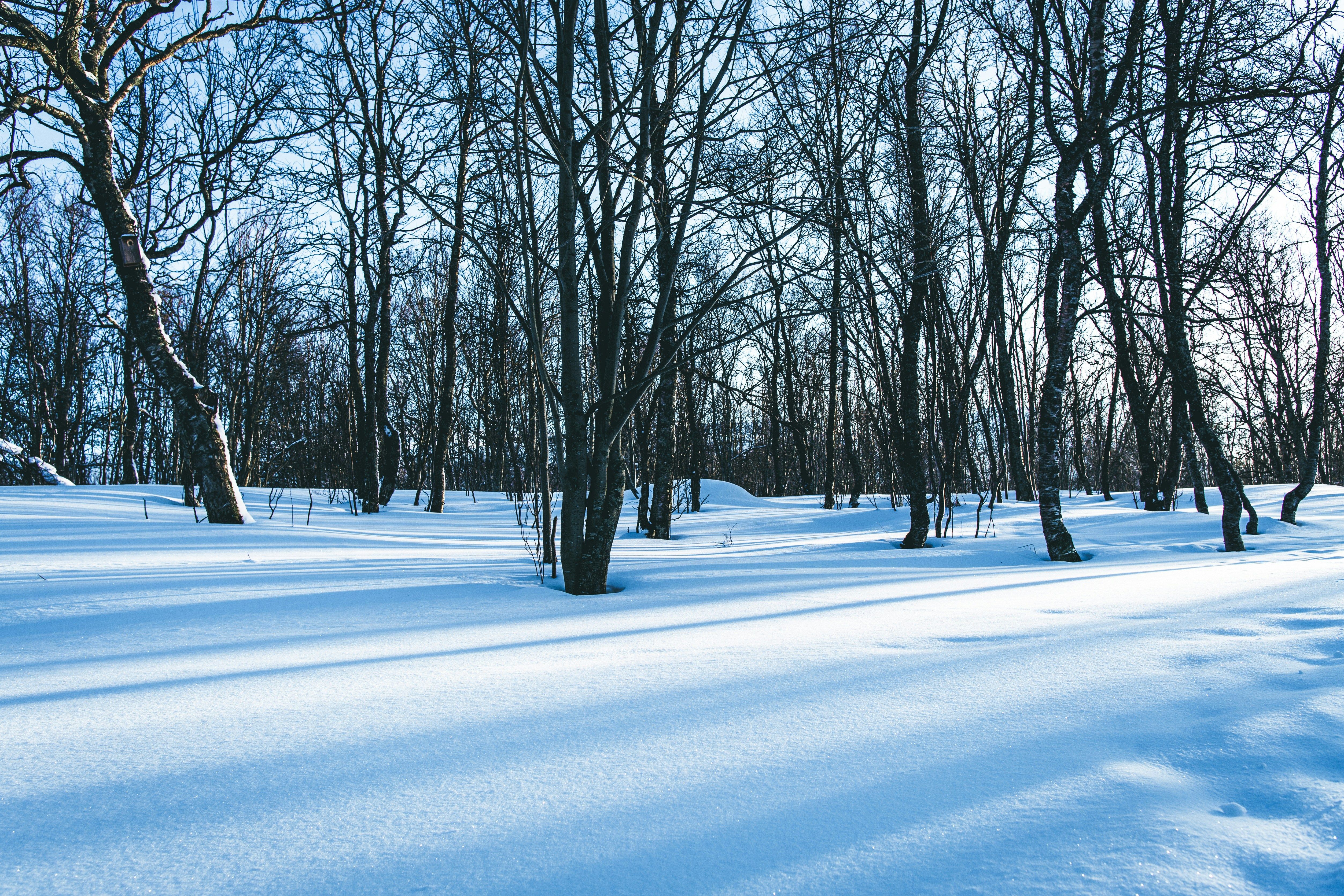 Bilde av Ralph Bolliger på Unsplash