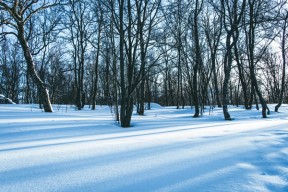 Bilde av Ralph Bolliger på Unsplash