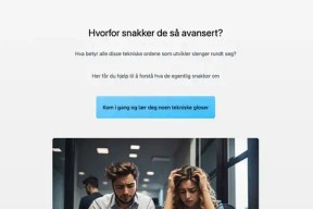 Forsiden for teknisk ordbok. En mann og dame stirrer frustrert på en skjerm