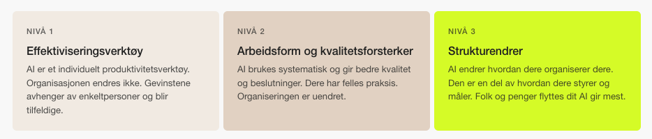 Veien videre handler ikke om flere verktøy. Den handler om at organisasjonen endrer seg i takt med bruken.