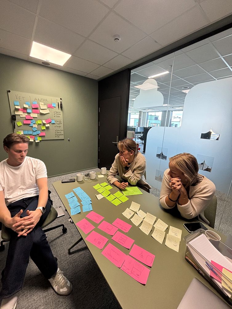 Innsiktsworkshop! Her strukturerer vi det vi har funnet ut.
