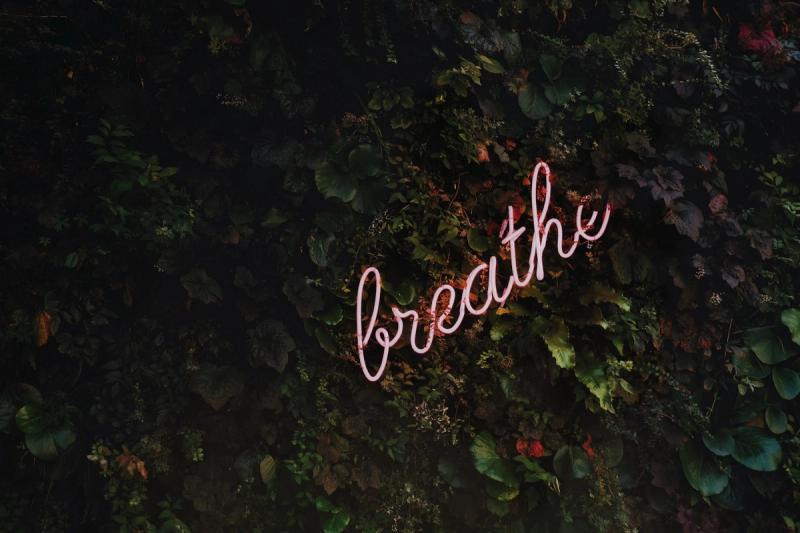 Neon sign reading "Breathe" on a wall of greenery