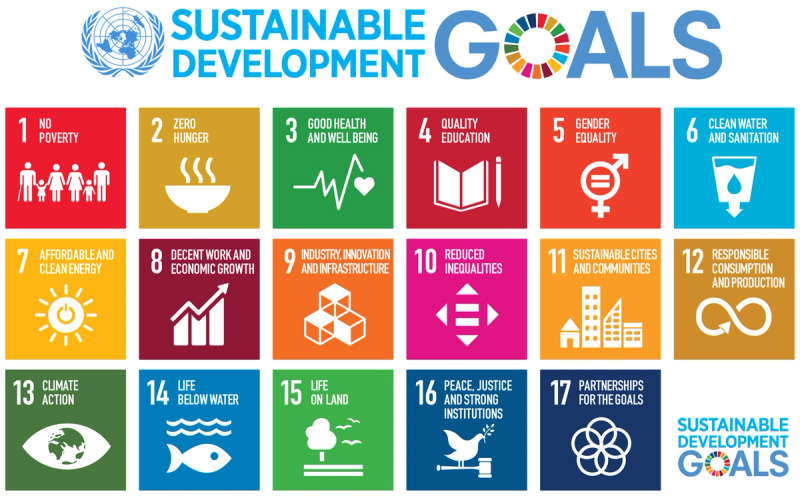 The picture shows the 17 Sustainable Development Goals