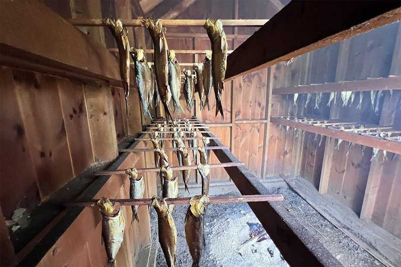 Alewife fish hanging on racks inside smokehouse